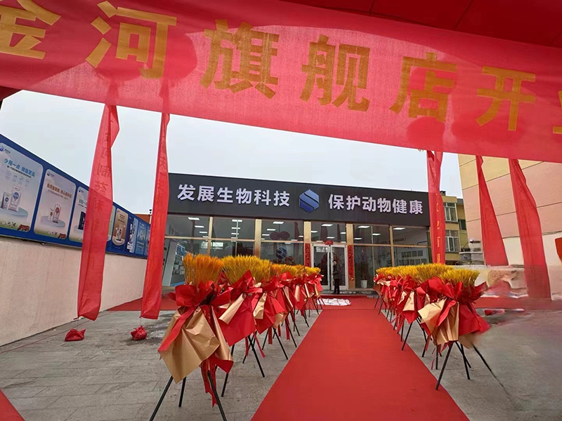 �ŵ�88��(�й���)���޹�˾����