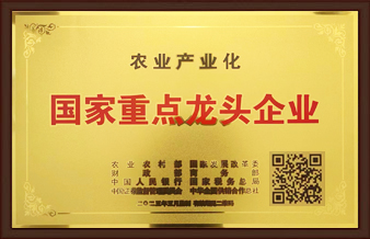 ���ȳ�����ͷ��ҵ